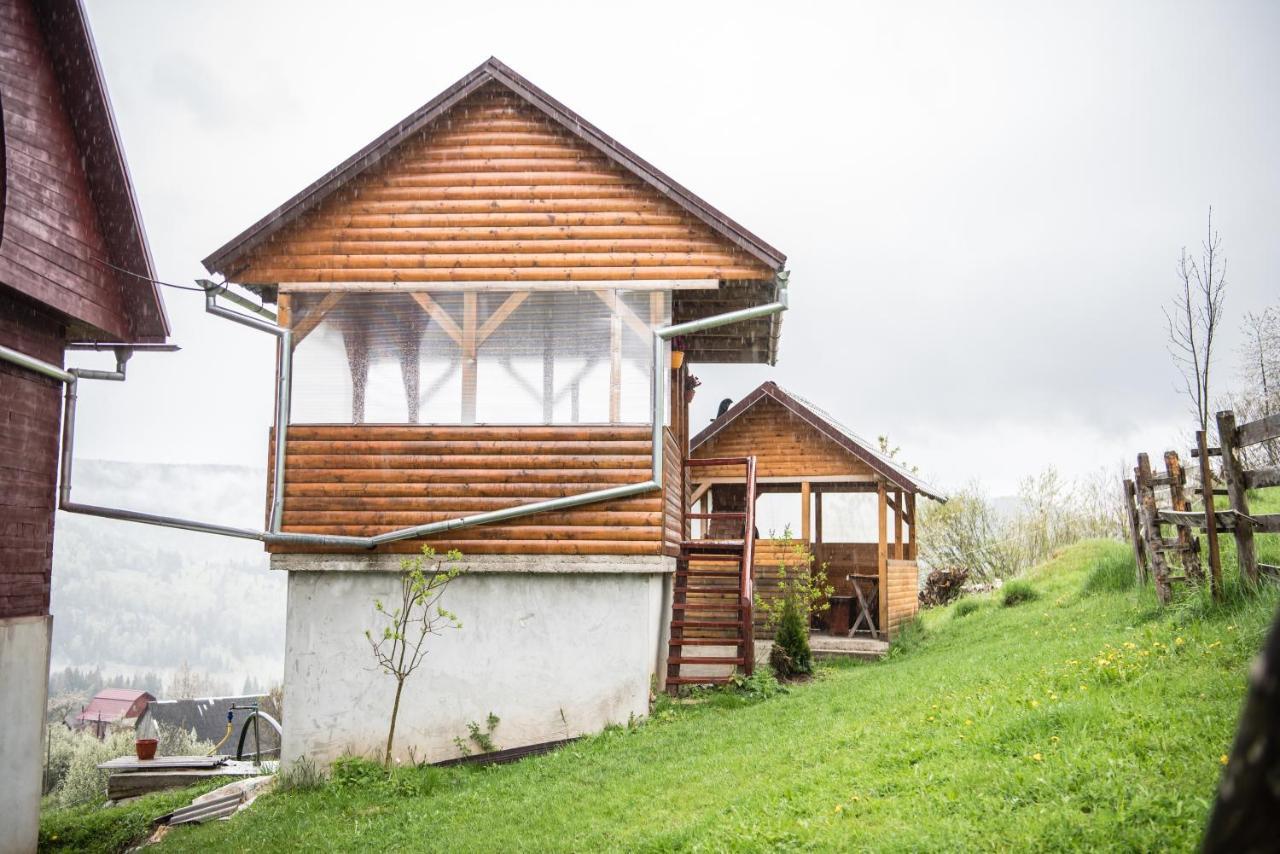 Pensiunea Amalia Gârda de Sus Exterior photo
