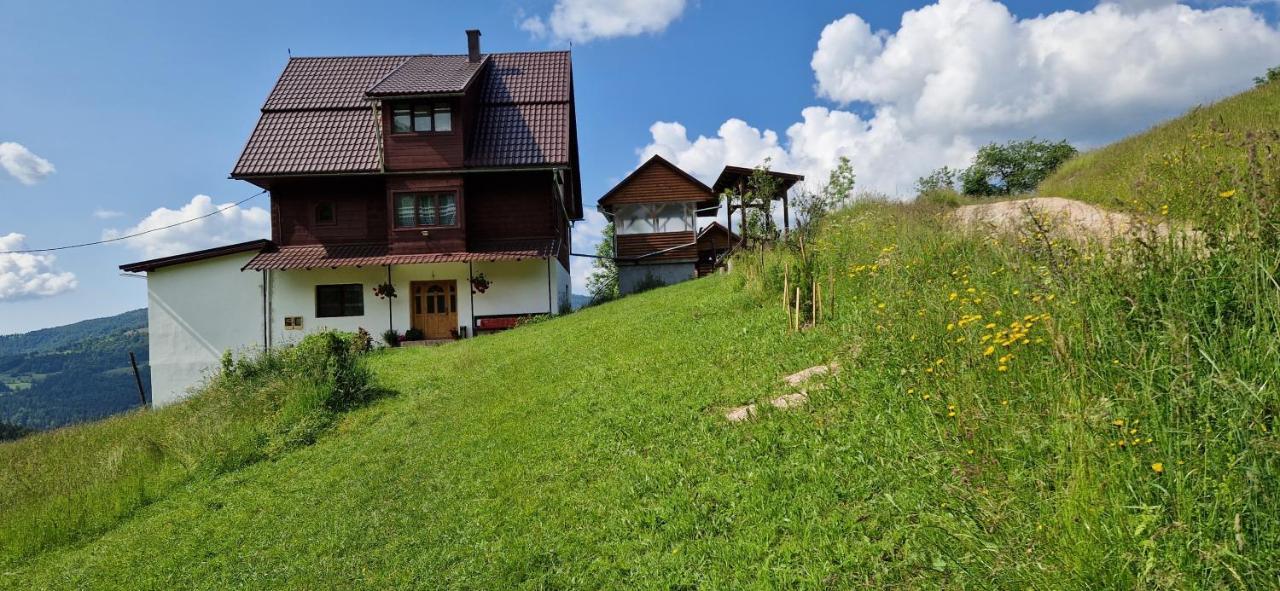 Pensiunea Amalia Gârda de Sus Exterior photo